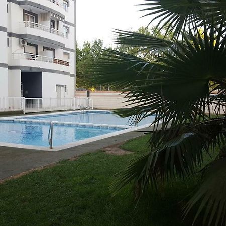 Appartement Avec Piscine San Vicente Raspeig エクステリア 写真